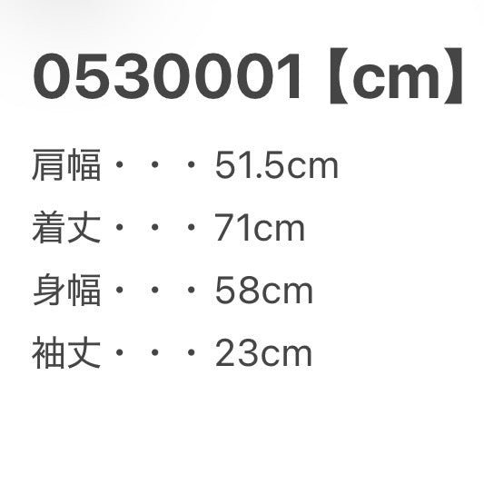 Corona Extra シルク半袖シャツ ブルー L