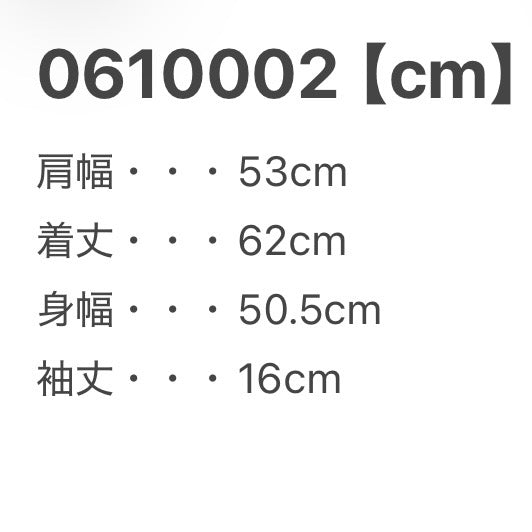 MICHELANGELO ミケランジェロ アダムの創造 システィーナ礼拝堂 アートTシャツ