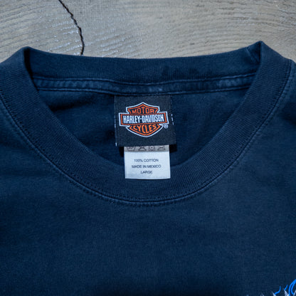 [メンズL] 00年代 Harley-Davidson/ハーレーダビッドソン 長袖Tシャツ Thunder in THE NORTH FACE Rockies ロンT 両面 両袖 フレイムプリント