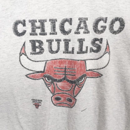 [メンズXXL] 90年代 Tシャツ NBA シカゴブルズ