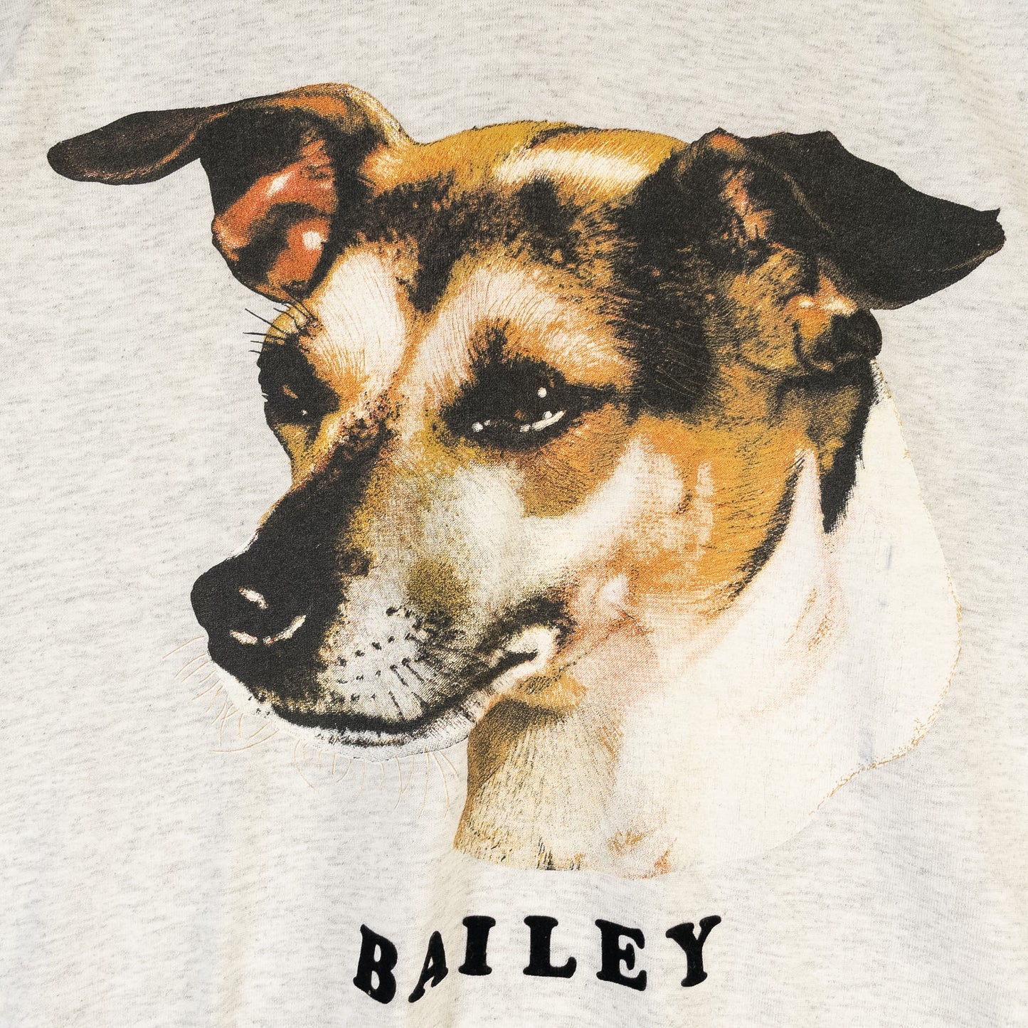 [メンズS] 90年代 Hanes/ヘインズ Tシャツ アニマルT 犬 BAILEY フロッキープリント