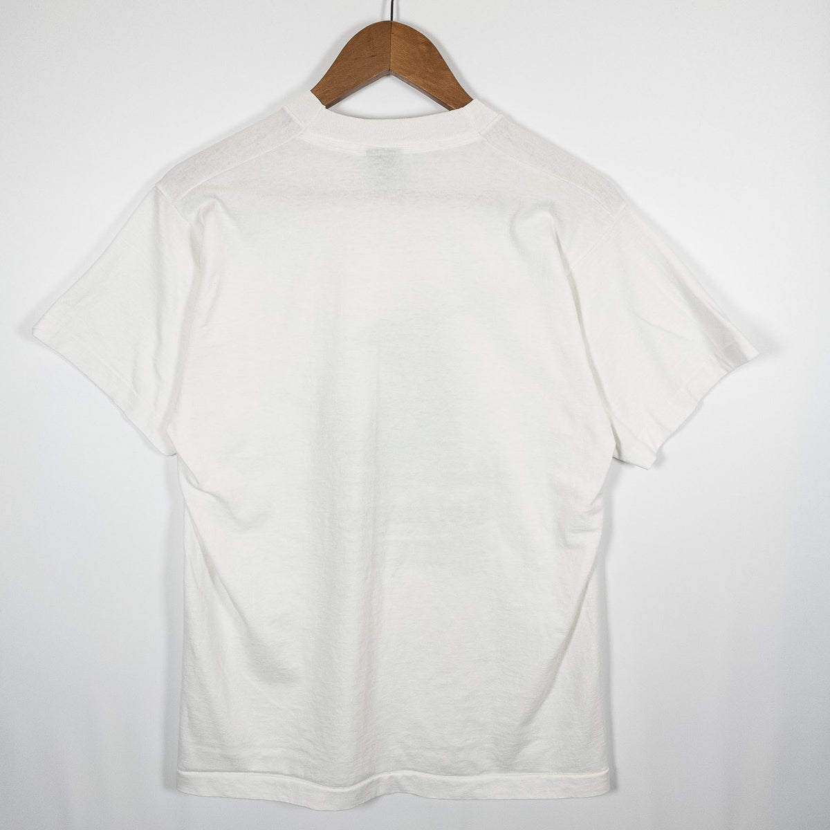 [メンズS] 80〜90年代 Screen Stars/スクリーンスターズ Tシャツ アートT Saurus