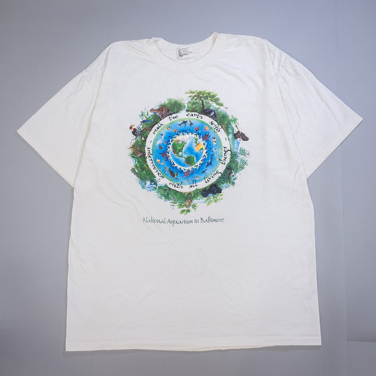 [メンズXL] 90年代 AMERICAN NATIONAL Tシャツ アートT