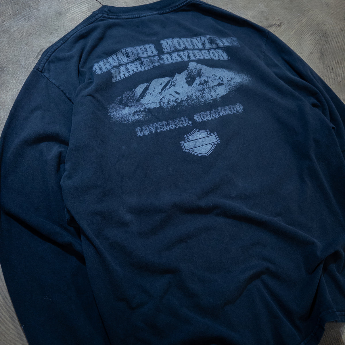 [メンズL] 00年代 Harley-Davidson/ハーレーダビッドソン 長袖Tシャツ Thunder in THE NORTH FACE Rockies ロンT 両面 両袖 フレイムプリント