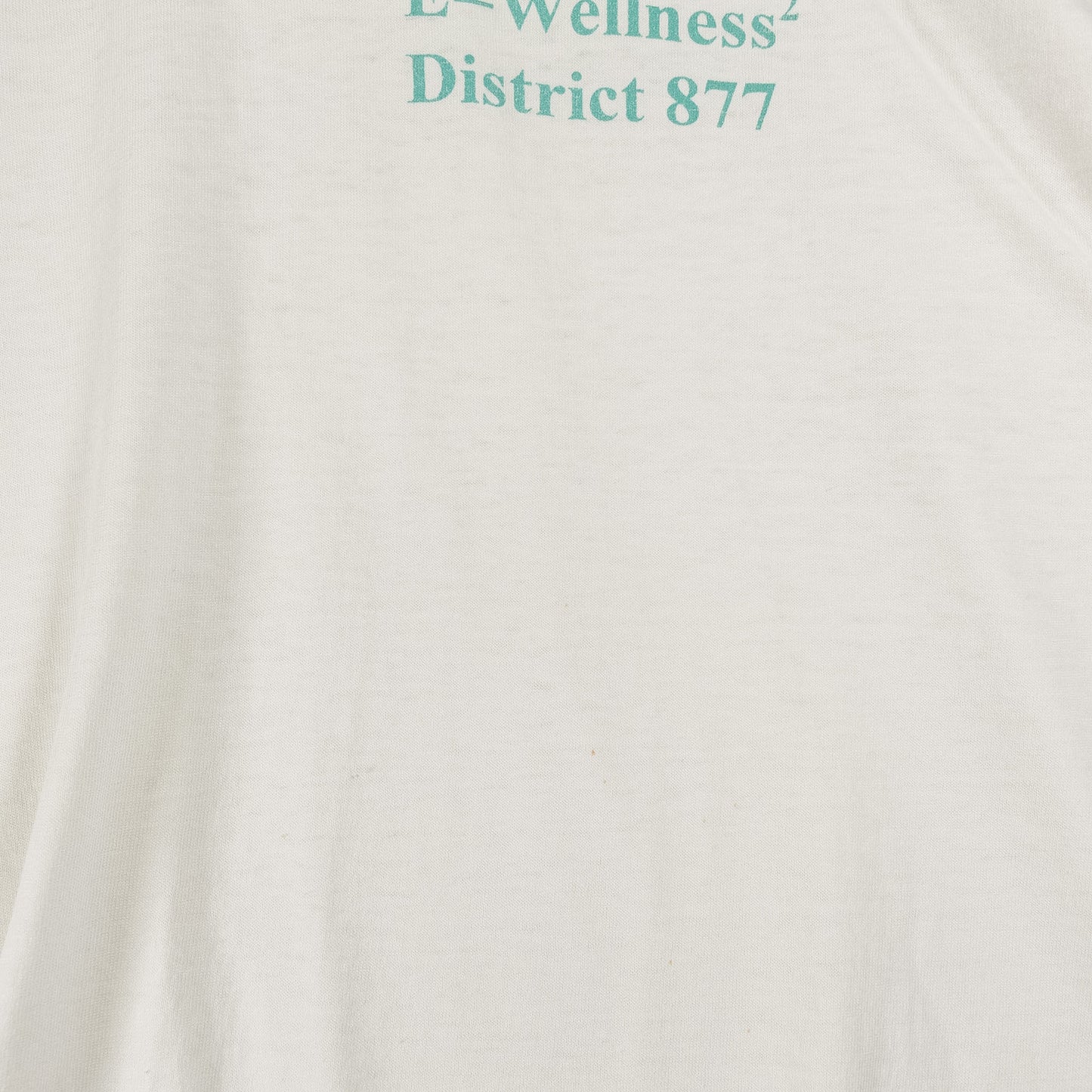 [メンズXL] 90年代 Fruit of the Loom/フルーツオブザルーム Tシャツ アインシュタイン パロディT