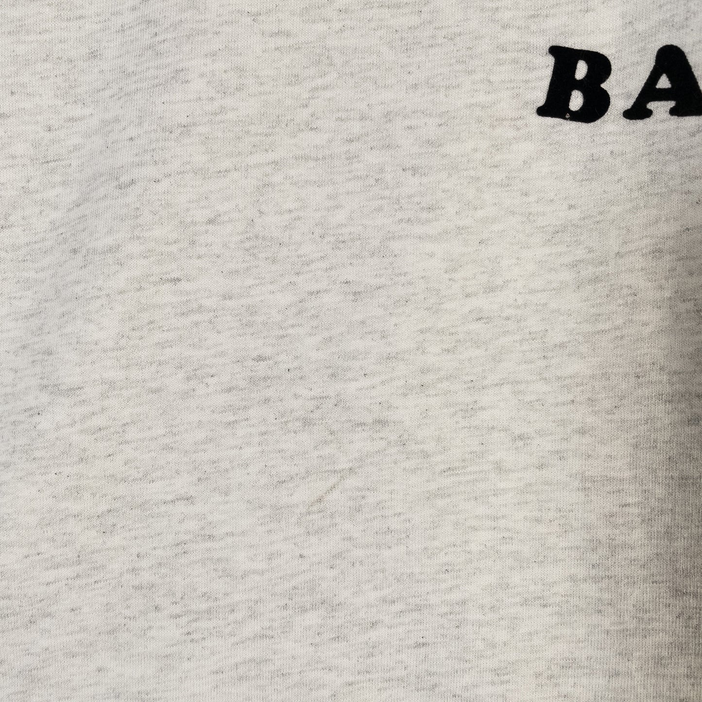 [メンズS] 90年代 Hanes/ヘインズ Tシャツ アニマルT 犬 BAILEY フロッキープリント