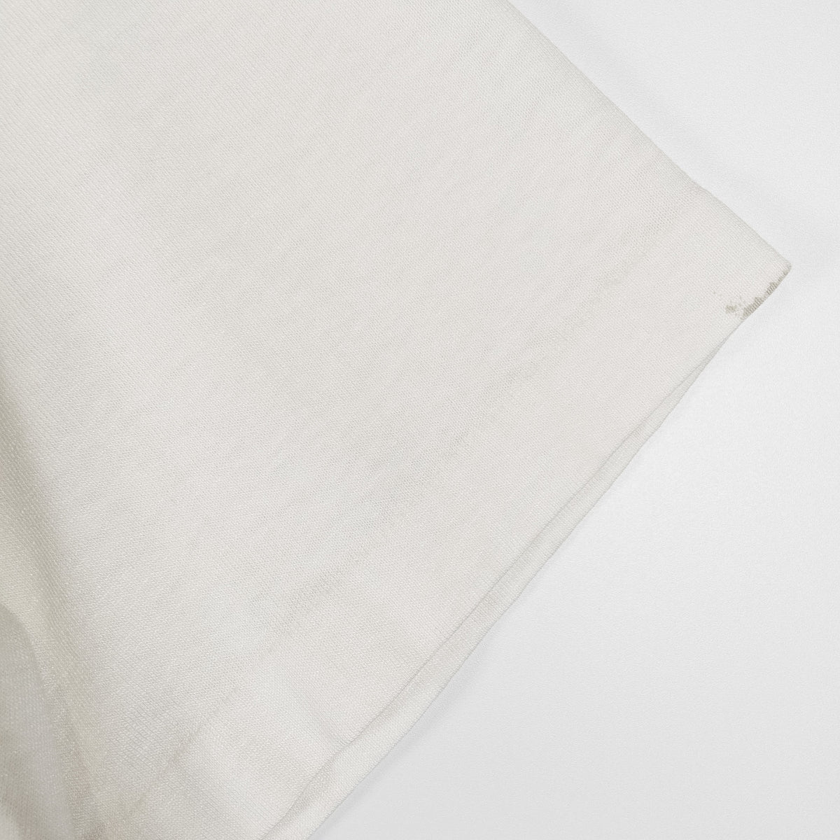 [メンズXL] 90年代 Fruit of the Loom/フルーツオブザルーム Tシャツ アインシュタイン パロディT