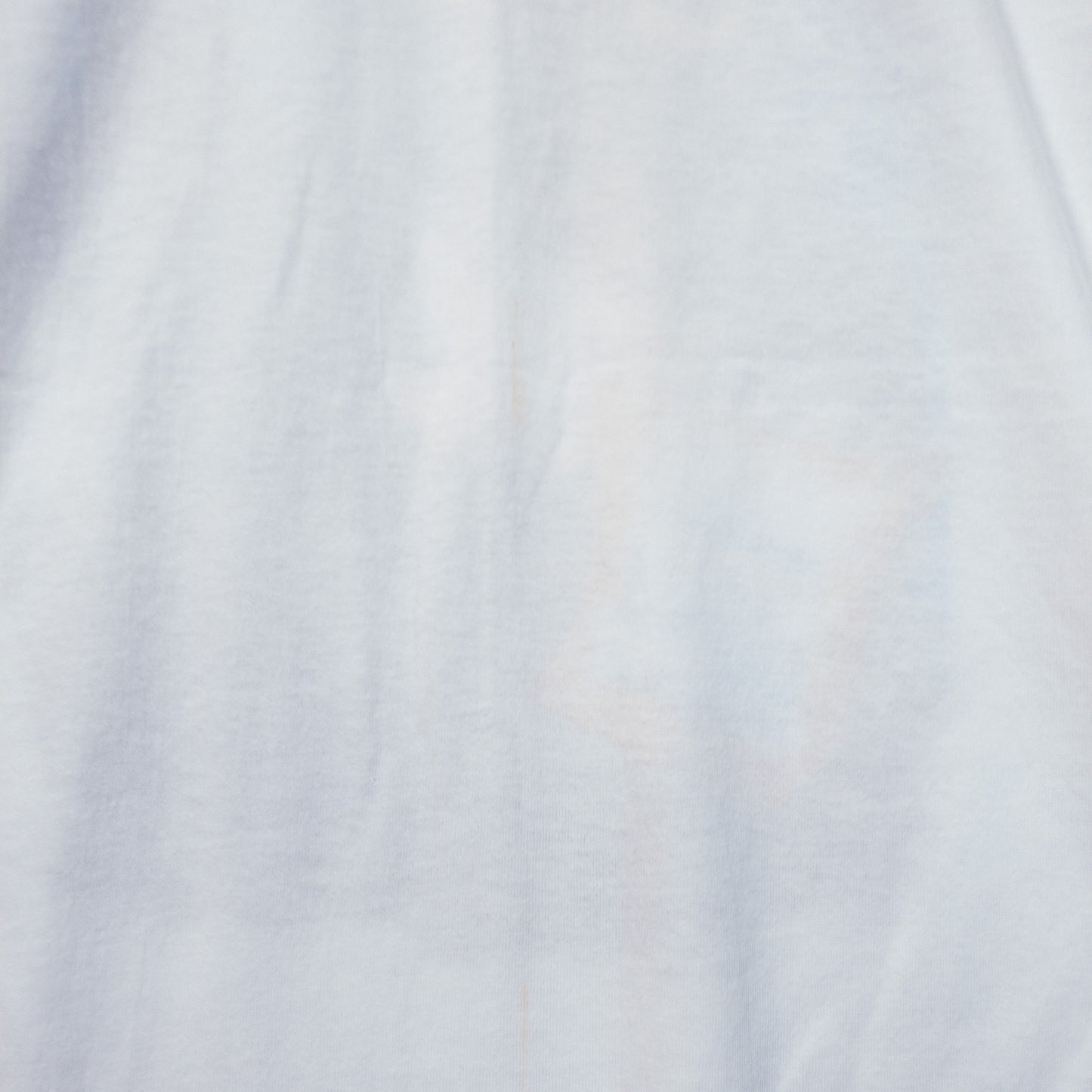 [メンズL] 90年代 Fruit of the Loom/フルーツオブザルーム Tシャツ FRANKENFROG カエル