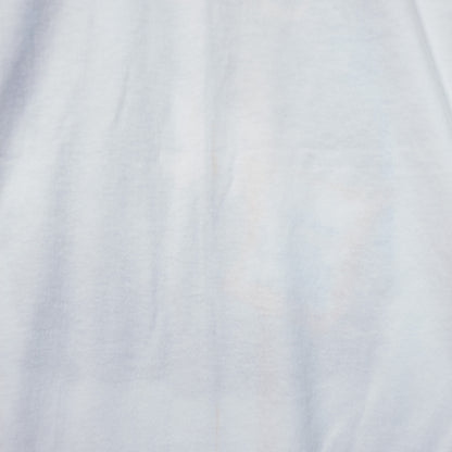 [メンズL] 90年代 Fruit of the Loom/フルーツオブザルーム Tシャツ FRANKENFROG カエル