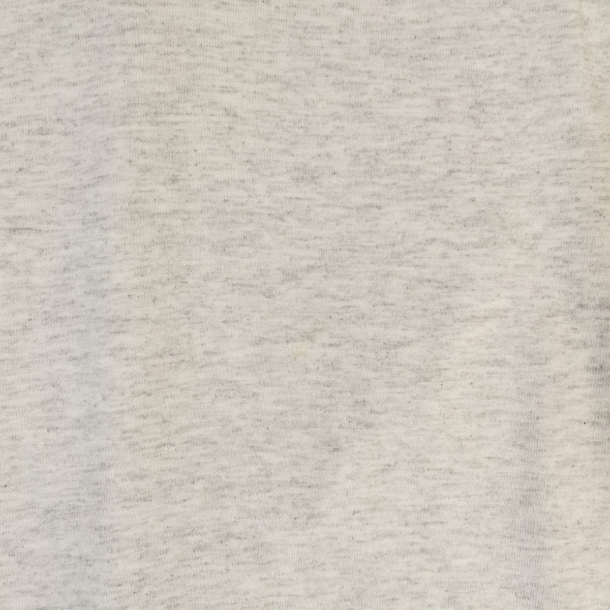 [メンズS] 90年代 Hanes/ヘインズ Tシャツ アニマルT 犬 BAILEY フロッキープリント