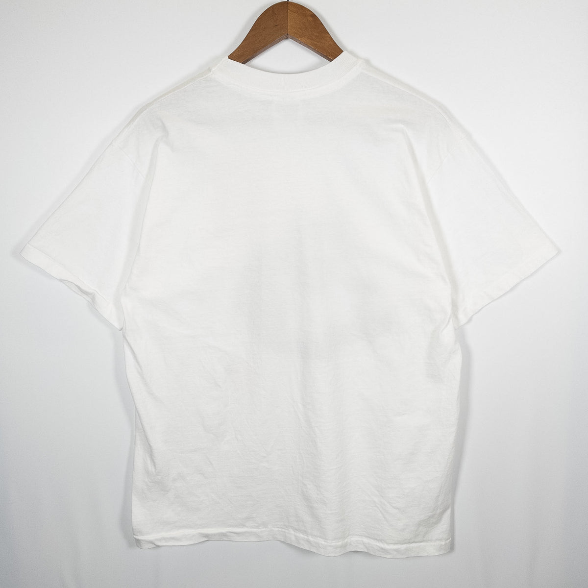 [メンズM] 90年代 Hanes/ヘインズ Tシャツ アニマル 猫 アートT
