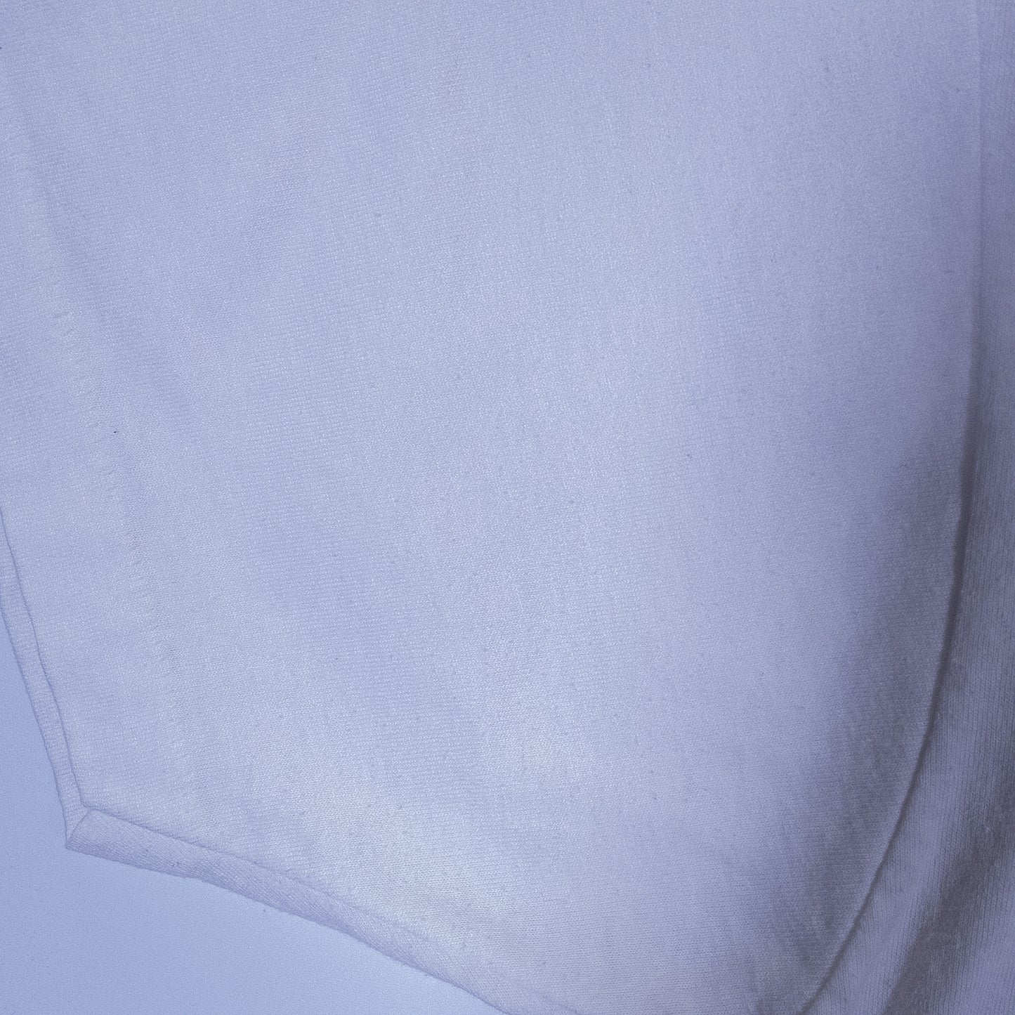 [メンズXL] 90年代 Fruit of the Loom/フルーツオブザルーム Tシャツ 企業T アイスクリーム USA製