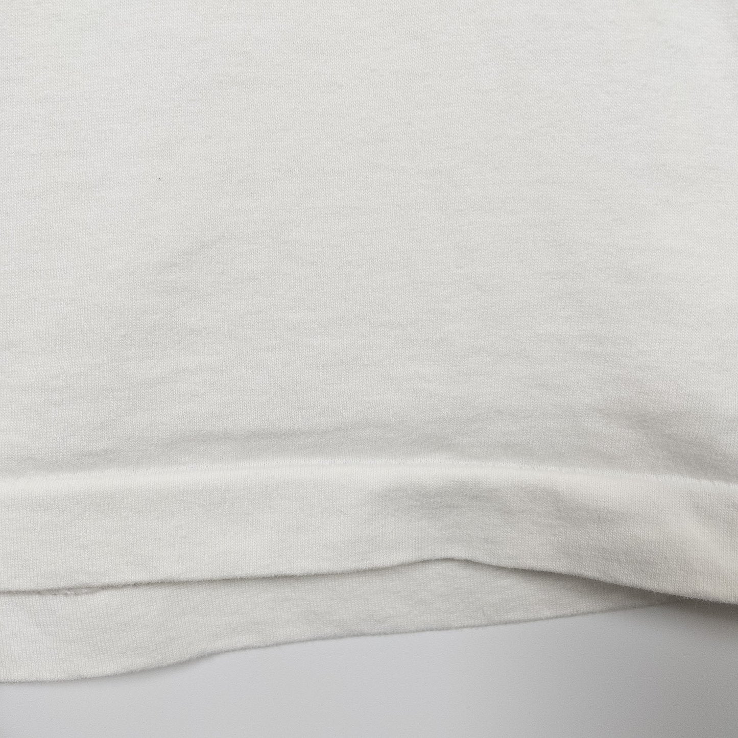 [メンズS] 80〜90年代 Screen Stars/スクリーンスターズ Tシャツ アートT Saurus