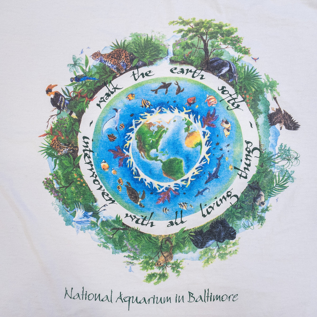 [メンズXL] 90年代 AMERICAN NATIONAL Tシャツ アートT