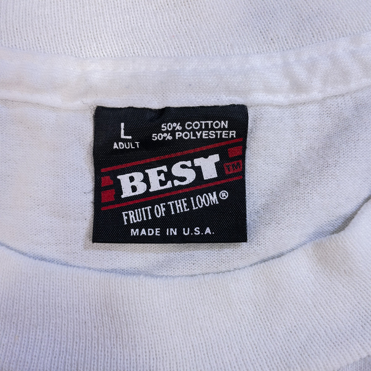 [メンズL] 90年代 Fruit of the Loom/フルーツオブザルーム Tシャツ サイエンスイベント プロモーションT