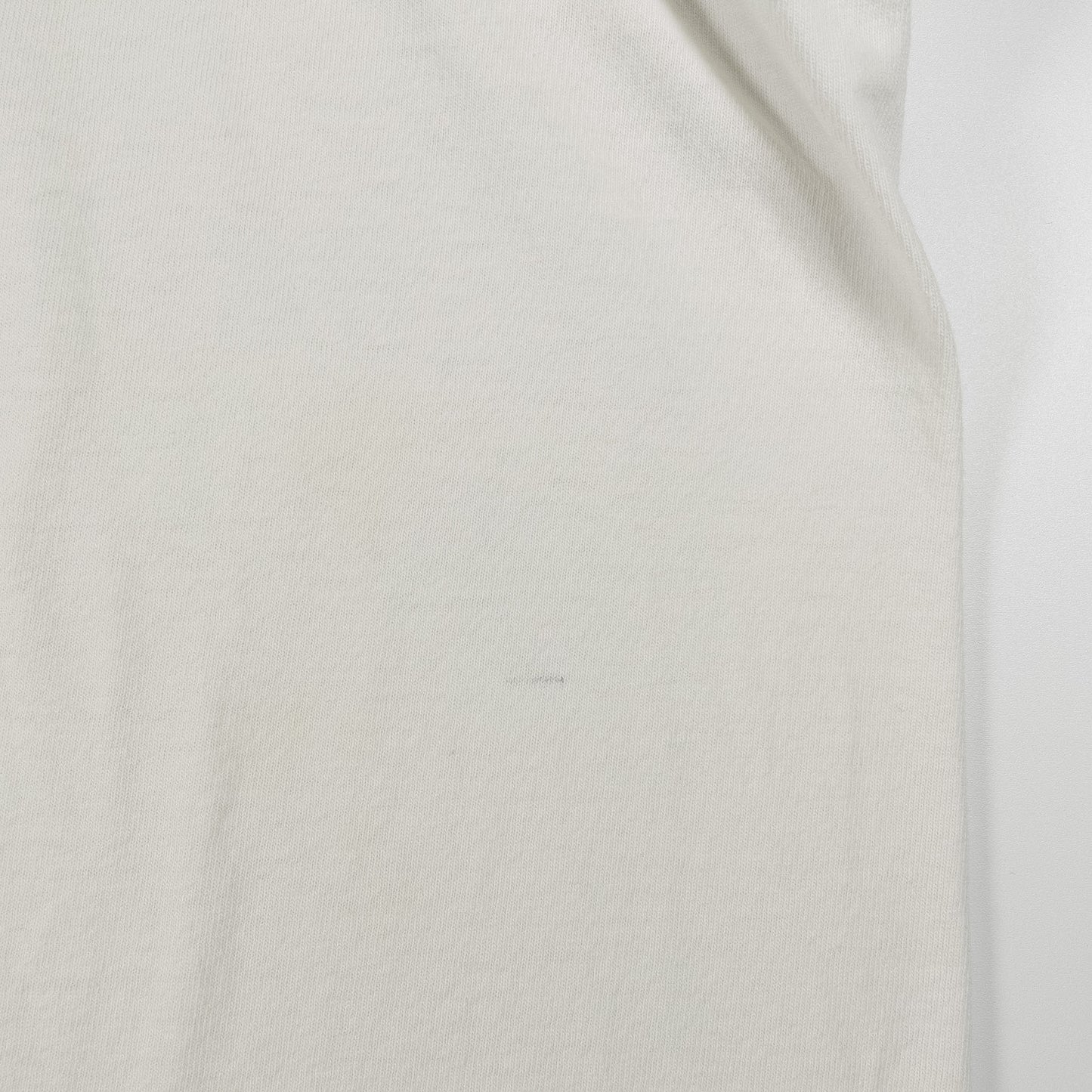 [メンズL] 90年代 Tシャツ Callaway Gardens バタフライ アートT