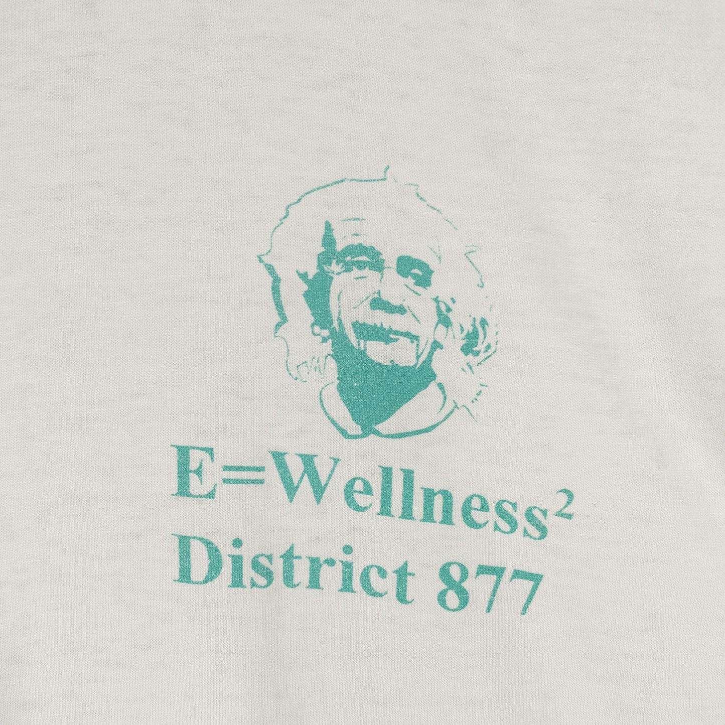 [メンズXL] 90年代 Fruit of the Loom/フルーツオブザルーム Tシャツ アインシュタイン パロディT