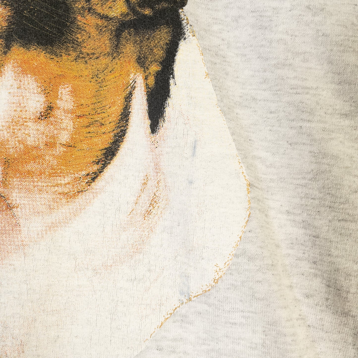 [メンズS] 90年代 Hanes/ヘインズ Tシャツ アニマルT 犬 BAILEY フロッキープリント