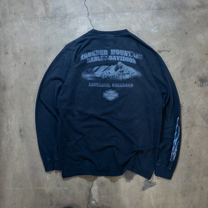 [メンズL] 00年代 Harley-Davidson/ハーレーダビッドソン 長袖Tシャツ Thunder in THE NORTH FACE Rockies ロンT 両面 両袖 フレイムプリント