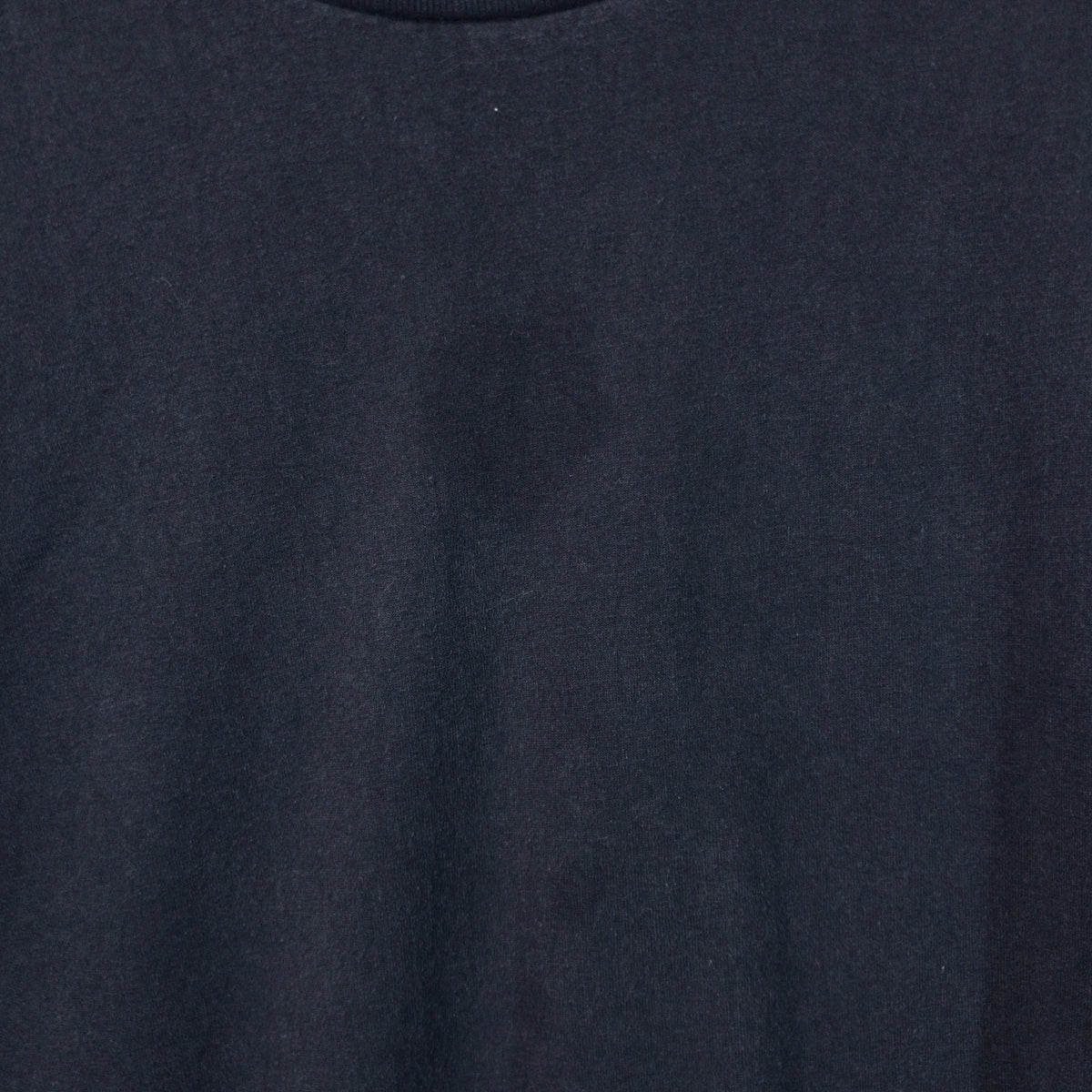 [メンズL] Hanes/ヘインズ Tシャツ プリズン 牢獄