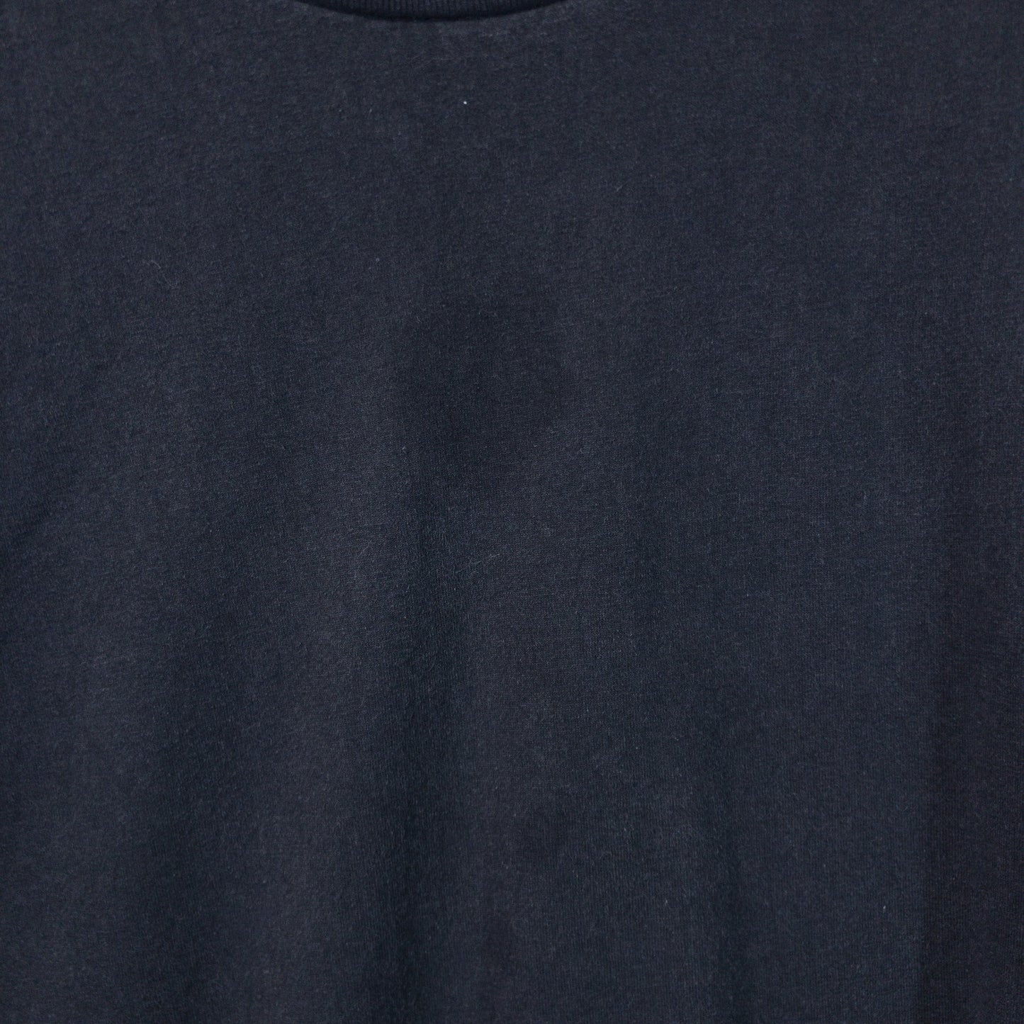 Tシャツ XXL プリズン 牢獄 プリントブラック プリント Hanes/ヘインズ