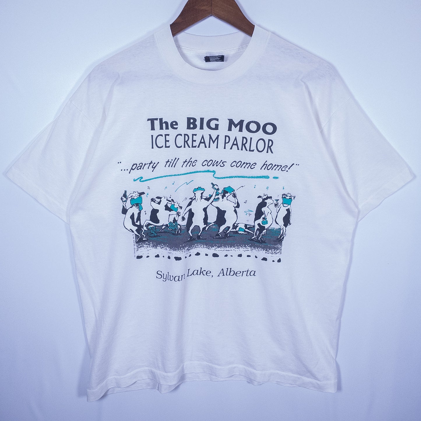 [メンズXL] 90年代 Fruit of the Loom/フルーツオブザルーム Tシャツ 企業T アイスクリーム USA製