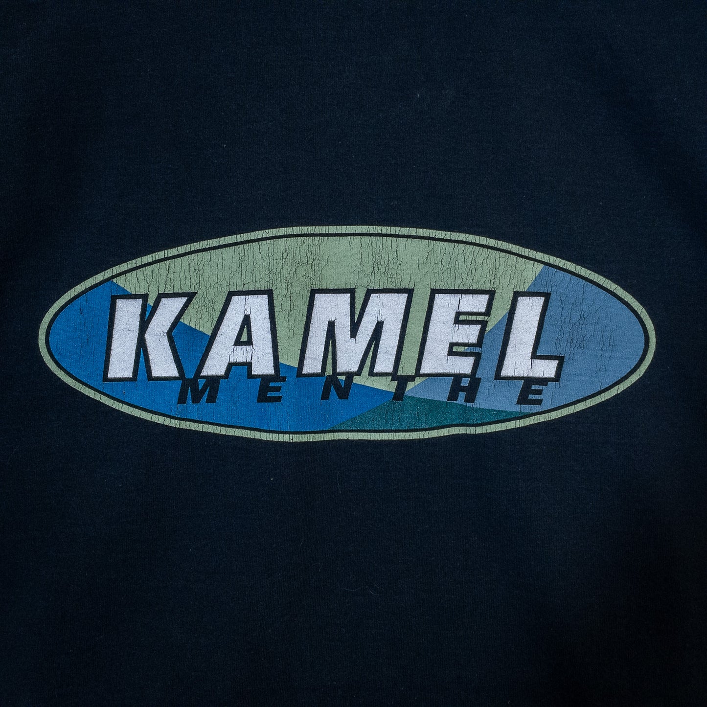 [メンズL] 90年代 Fruit of the Loom/フルーツオブザルーム Tシャツ 企業T KAMEL キャメル タバコ