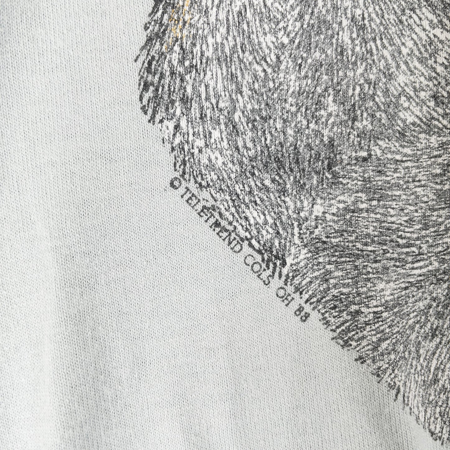 [メンズM] 90年代 Screen Stars/スクリーンスターズ Tシャツ アニマルT Schnauzer シュナウザー