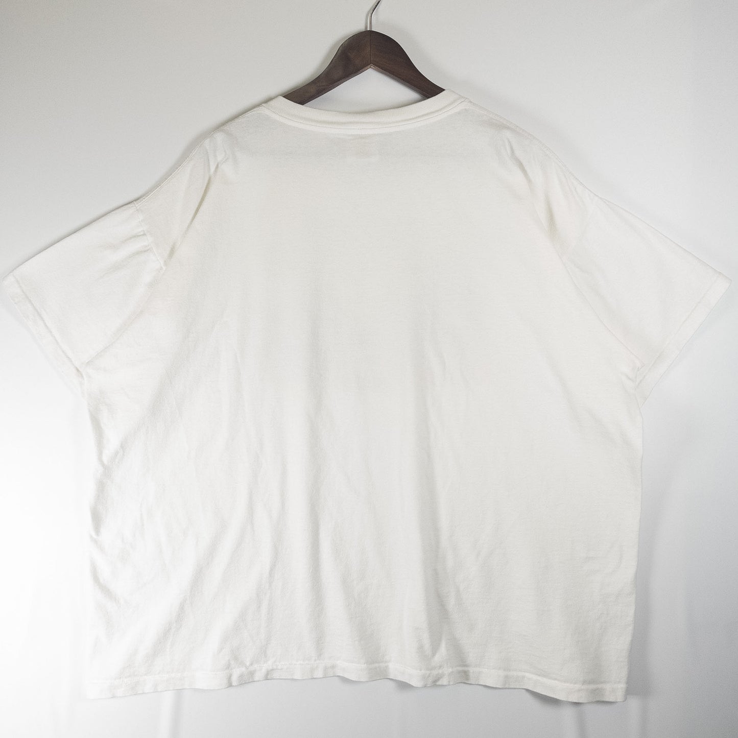[メンズ3XL] 90年代 Tennessee River Gold Tシャツ THE FAR SIDE アートT