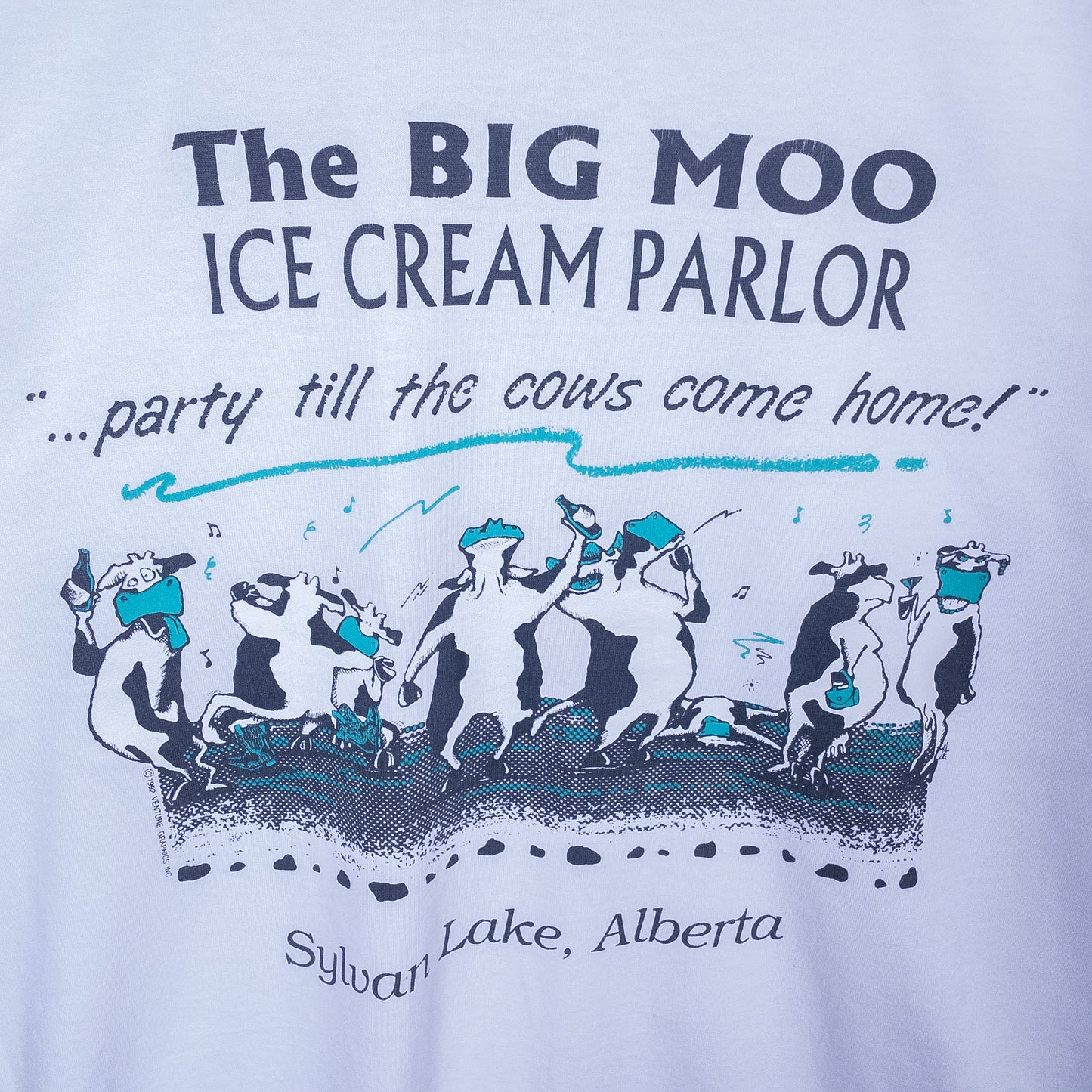 [メンズXL] 90年代 Fruit of the Loom/フルーツオブザルーム Tシャツ 企業T アイスクリーム USA製