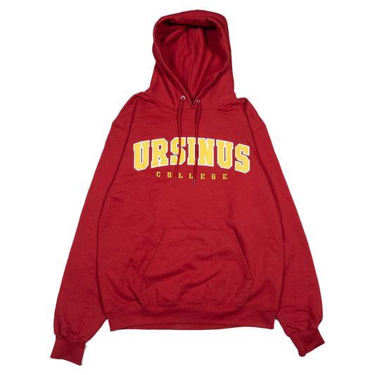 [メンズS] 00年代 Champion/チャンピオン パーカー カレッジ URSINUS COLLEGE