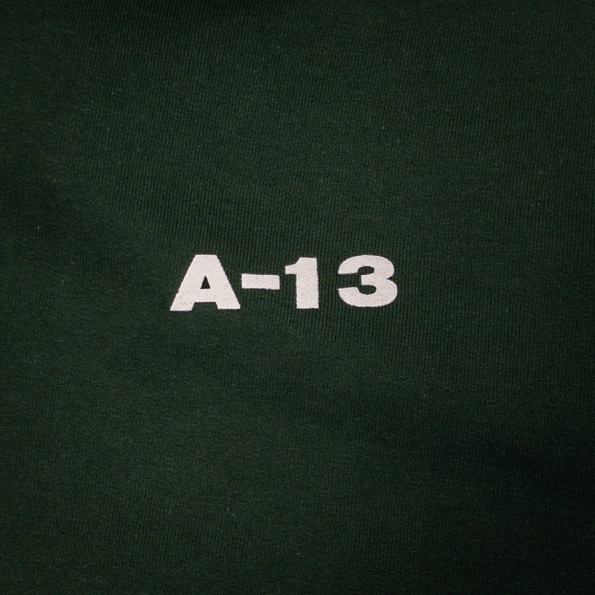 [メンズM] 00年代 Champion/チャンピオン パーカー A-13