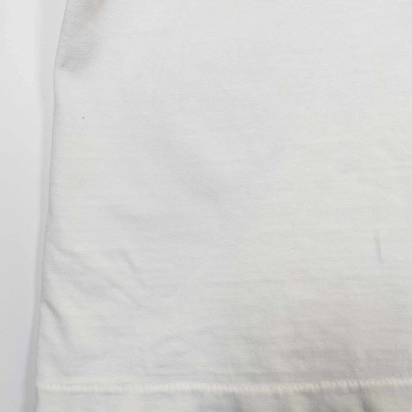 [メンズL] 80〜90年代 Hanes/ヘインズ Tシャツ 企業T