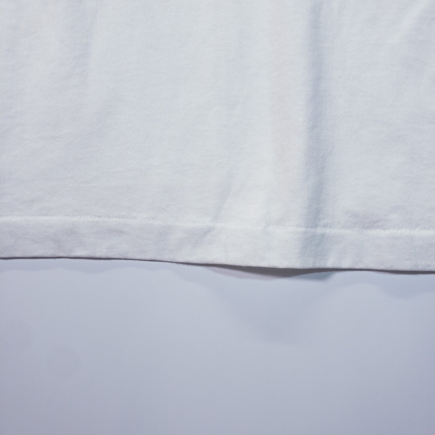 [メンズL] 90年代 Fruit of the Loom/フルーツオブザルーム Tシャツ FRANKENFROG カエル