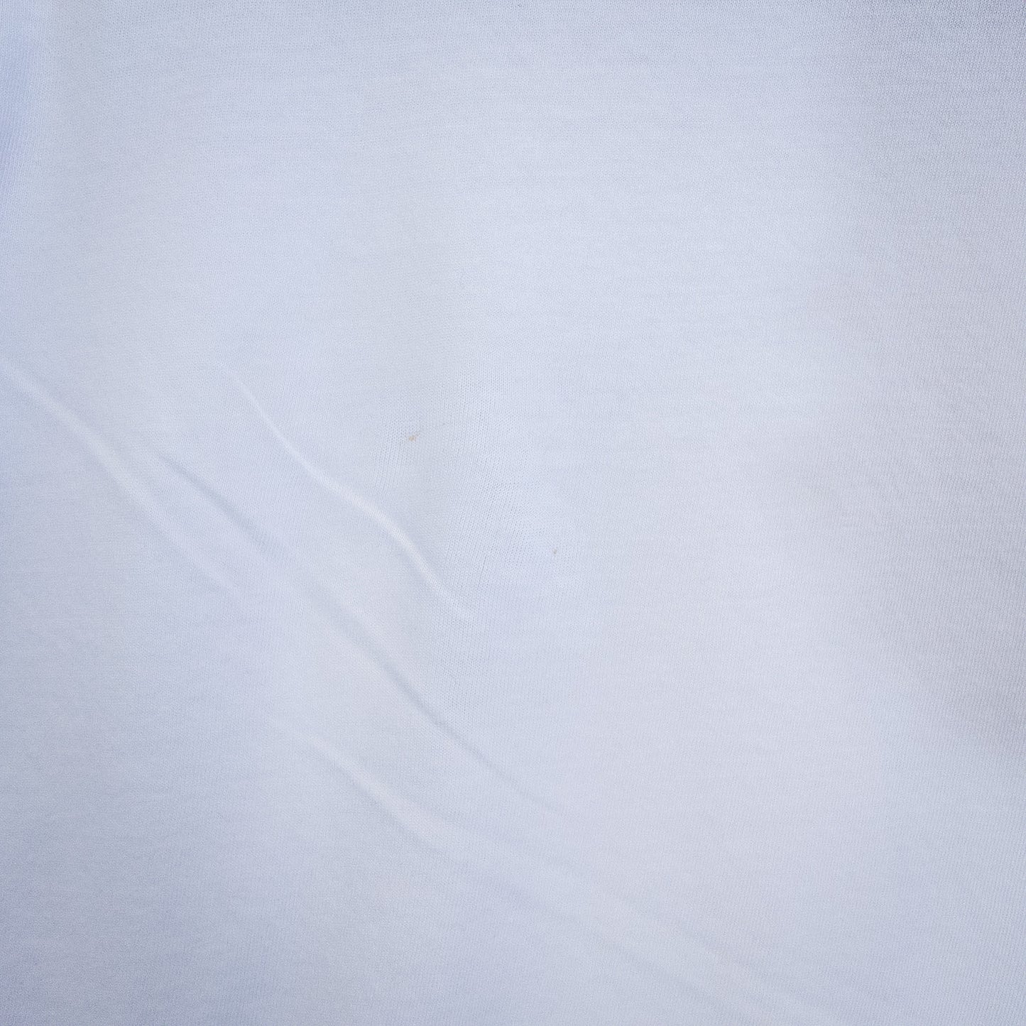 POLO BEAR ポロベア Tシャツ M ホワイト プリント Polo Ralph Lauren/ポロラルフローレン