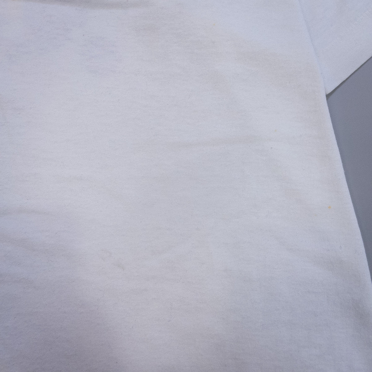 [メンズL] 90年代 Fruit of the Loom/フルーツオブザルーム Tシャツ サイエンスイベント プロモーションT
