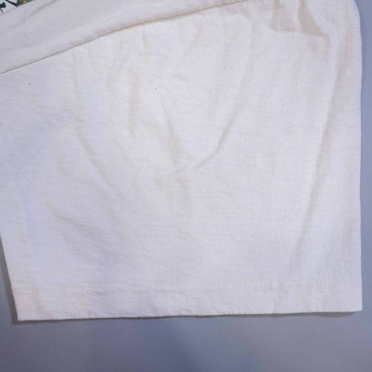 [メンズXL] 90年代 AMERICAN NATIONAL Tシャツ アートT