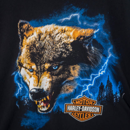 [メンズL] 00年代 Harley-Davidson/ハーレーダビッドソン Tシャツ