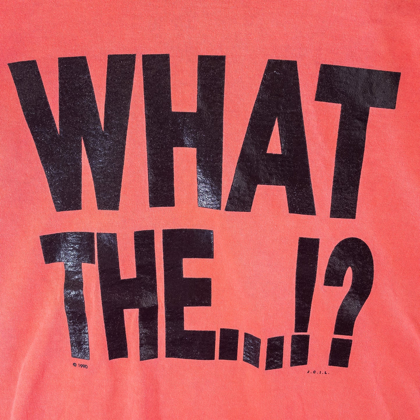[メンズL] 90年代 Fruit of the Loom/フルーツオブザルーム Tシャツ メッセージT シングルステッチ