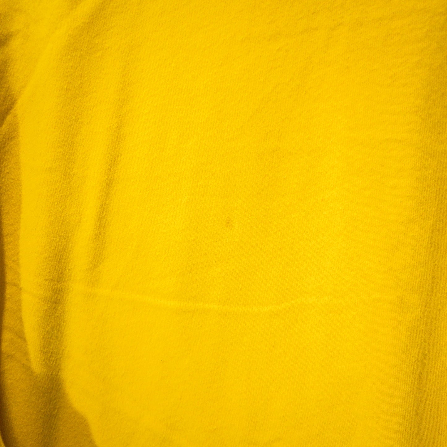 [メンズL] 00〜10年代 Polo Ralph Lauren/ポロラルフローレン Tシャツ