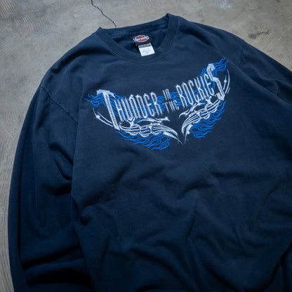 [メンズL] 00年代 Harley-Davidson/ハーレーダビッドソン 長袖Tシャツ Thunder in THE NORTH FACE Rockies ロンT 両面 両袖 フレイムプリント