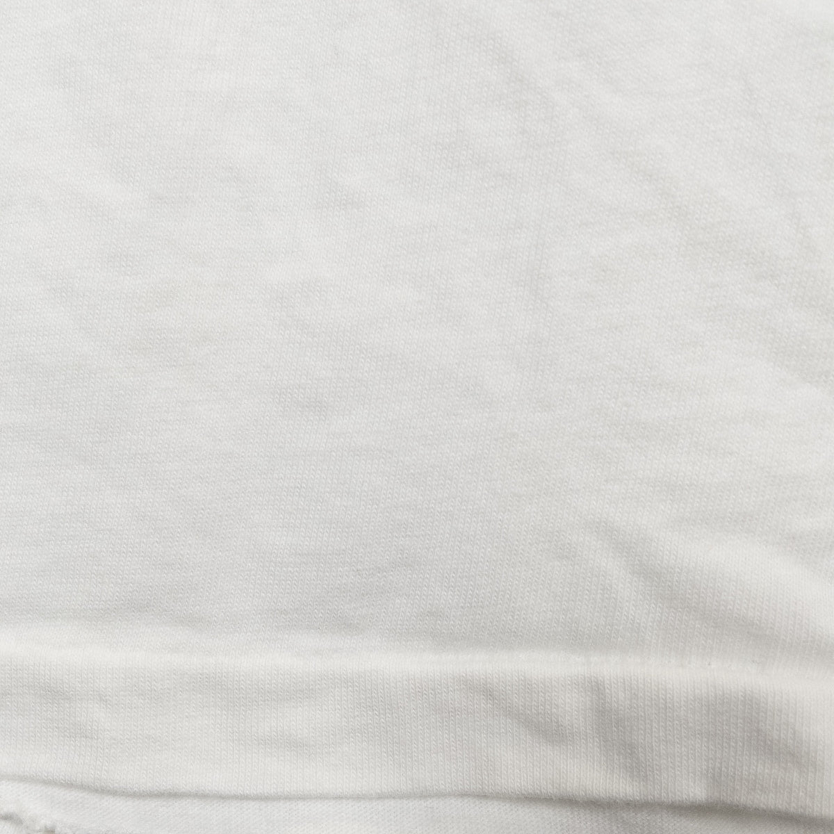 [メンズM] 80〜90年代 Hanes/ヘインズ Tシャツ アニマルT 犬 フォトT