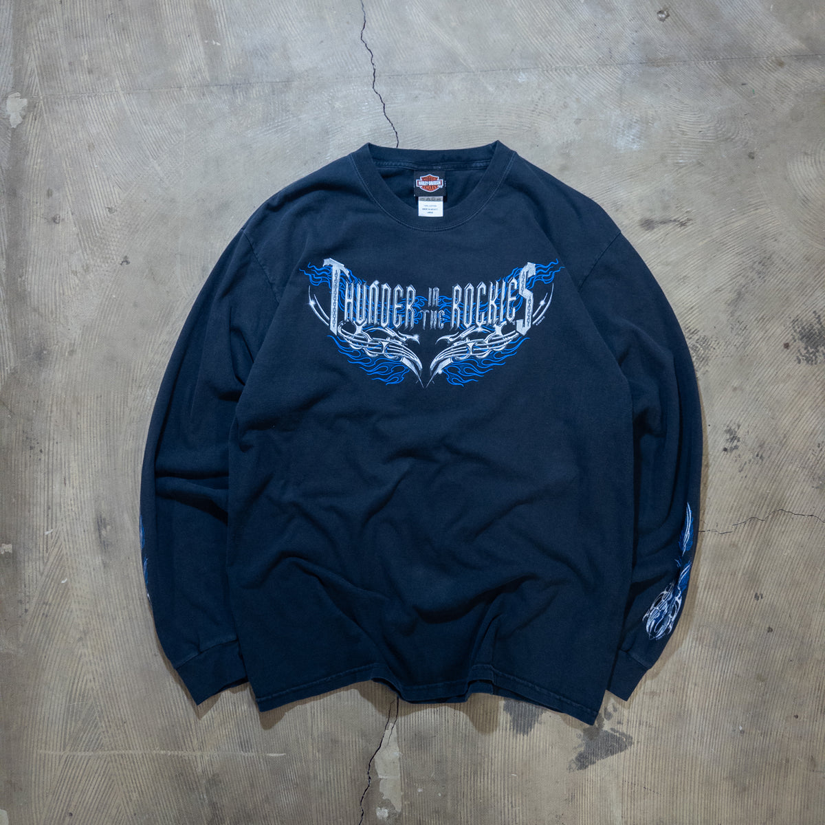 [メンズL] 00年代 Harley-Davidson/ハーレーダビッドソン 長袖Tシャツ Thunder in THE NORTH FACE Rockies ロンT 両面 両袖 フレイムプリント