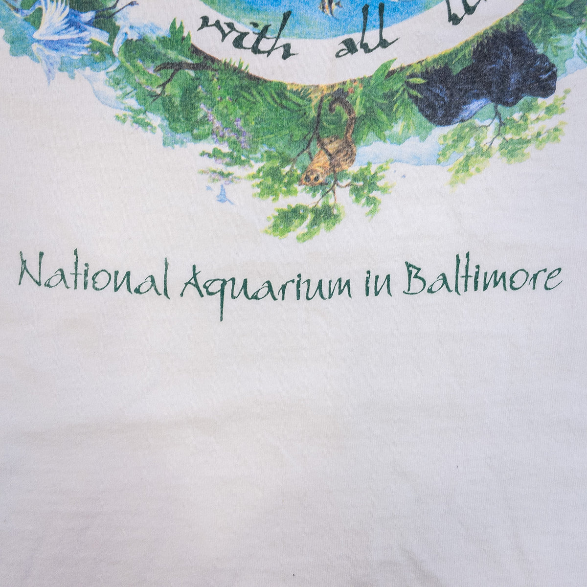 [メンズXL] 90年代 AMERICAN NATIONAL Tシャツ アートT