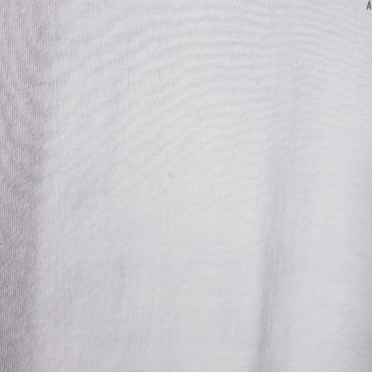 [メンズM] 90年代 Hanes/ヘインズ Tシャツ APEX DATA 企業 T